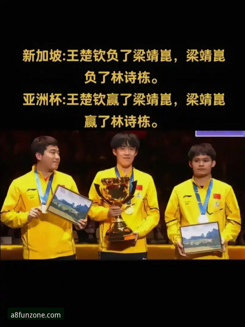 A8棋牌娱乐手机棋牌教程 揭秘国乒三将逆转战局背后的胜负密码——从林诗栋到梁靖崑的战术博弈